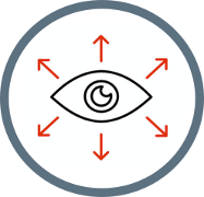 Vision Icon